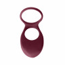 Эрекционное Виброкольцо Pure Passion Daydream Wine Red 1303-02lola