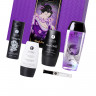 Подарочный набор Shunga Naughter Kit, 5 средств