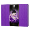 Подарочный набор Shunga Naughter Kit, 5 средств