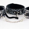 Кружевной набор TOYFA Marcus (ошейник и наручники), серебряный