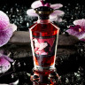 Масло для массажа Shunga Blazing Cherry, разогревающее, вишня, 100 мл